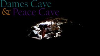 Florida Caves? Dames Cave and Peace Cave, Lecanto FL. Citrus Wildlife Area Homosassa, Inverness