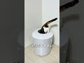 【猫の日】猫ちゃん社員のおすすめグッズ紹介✨さくらちゃん編 #shorts #猫 #猫トイレ
