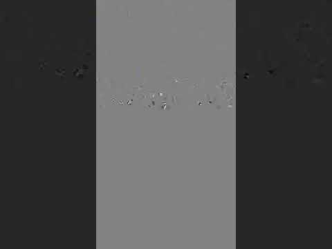 نزار الوسلاتى الداكس مع اما شبعة ضجك