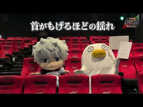 銀さんとエリザベスが『新劇場版 銀魂 -吉原大炎上-』4DXを体験🔥