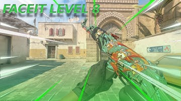 CS2 FACEIT LEVEL 8 Montage!!