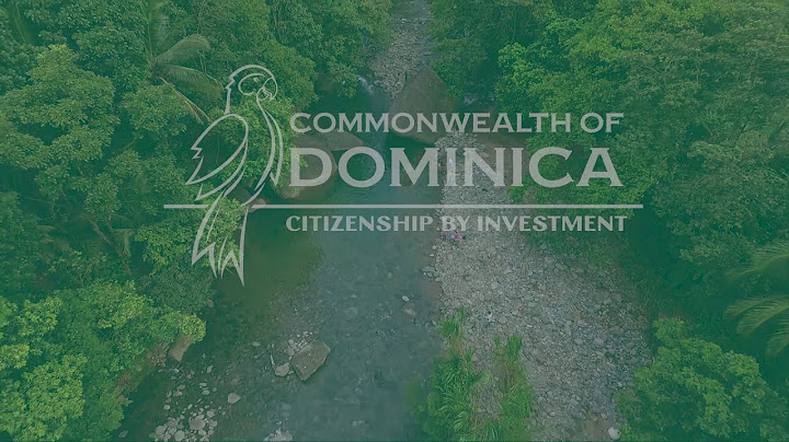 Mã iata của common wealth of dominica là gì năm 2024