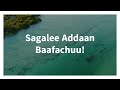 Sagalee Addaan Baafachuu Sagalee Addaan Baafachuu