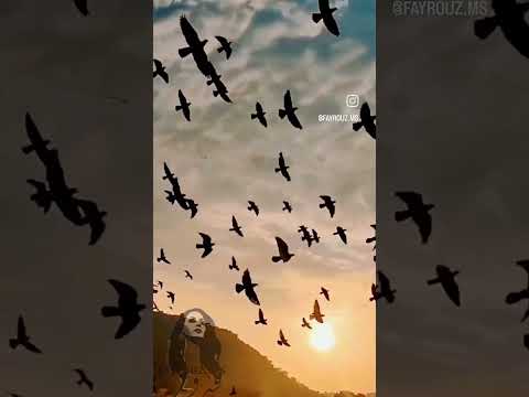 ياطير ياطاير فوق طراف الدني فيروز اجمل واروع اغاني فيروز 