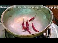 টক ঝাল মিষ্টি জলপাই চাটনি 😋 | Jolpai Chutney Recipe Bangla