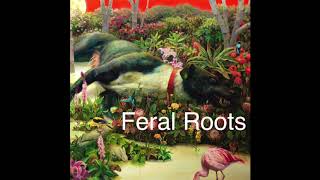 Rival Sons-Feral Roots (Audio)