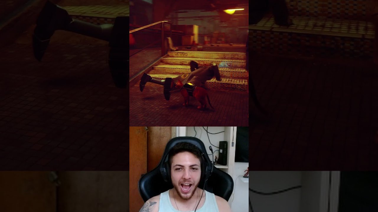 BANDA NO ROBO KKKKKK 