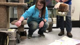 Move-in day at the Porter County Animal Shelter