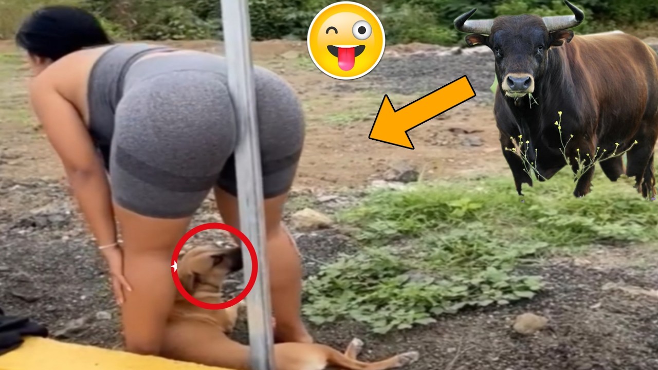 2026 Try Not to Laugh Challenge: I Failed in 10 Seconds 😂 #5