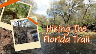 Top Florida Trail Hikes | Richloam Hiking Trail in Withlacoochee State Forest (Part One)
