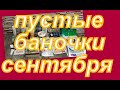 ПУСТЫЕ БАНОЧКИ СЕНТЯБРЯ 2022 г.