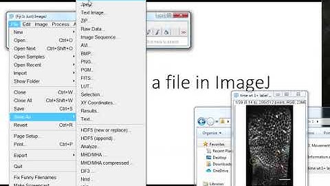 FIJI tutorial: 2) How to save a file in ImageJ