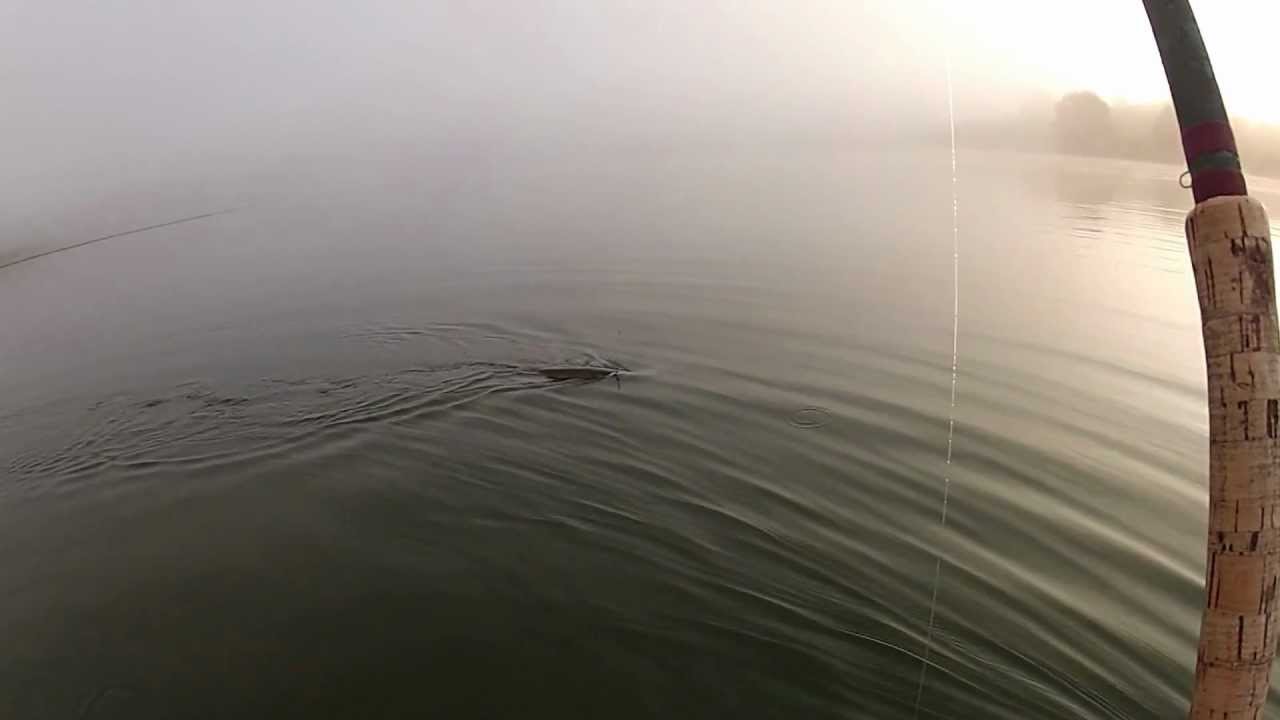 Gros brochet en Float Tube