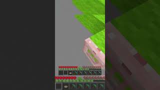 Information Daylight Censor Craft News
