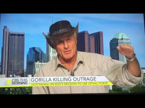 Jack Hanna discusses Harambe the Gorilla at Cincinnati Zoo