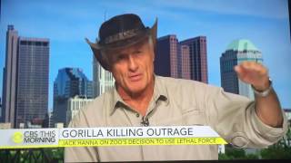 Jack Hanna discusses Harambe the Gorilla at Cincinnati Zoo
