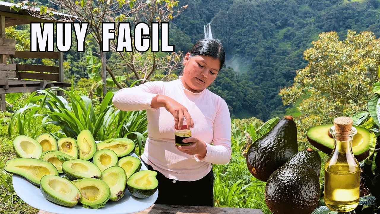 De esta manera extraemos aceite de aguacate en el campo - NATHALIA
