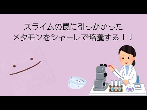 スライムの罠に引っかかったメタモンをシャーレで培養する！！スライムASMR