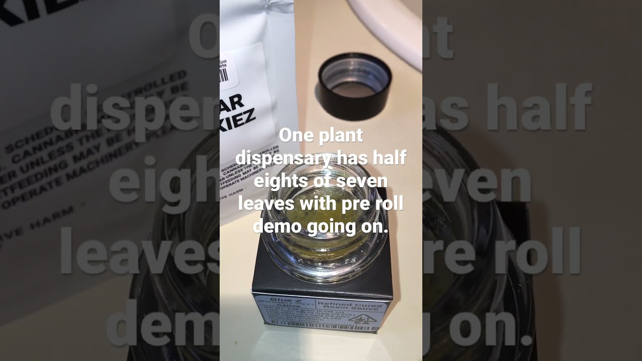 One plant dispensary in Salina ca