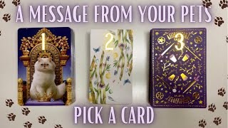 Famous WHAT YOUR PETS WANT YOU TO KNOW🐶😸♥️| Pick a Card🔮 General Tarot Reading Wealth
