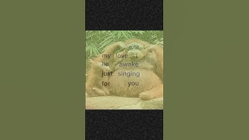 unreleased song #demo