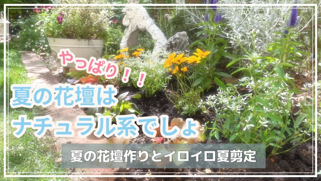 ガーデニング 夏の花壇作り 夏のナチュラルガーデン作り 夏剪定 6月の庭仕事 ガーデニングvlog 暮らしのvlog ハナノカオリ マンション専用庭 Hananokaori Youtube