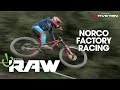 NORCO FACTORY RACING - Best of Vital RAW