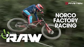 NORCO FACTORY RACING - Best of Vital RAW