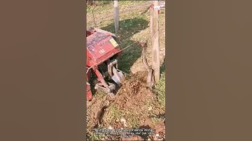 Planting: hole digger for planting new crops