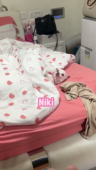 Niki its you????