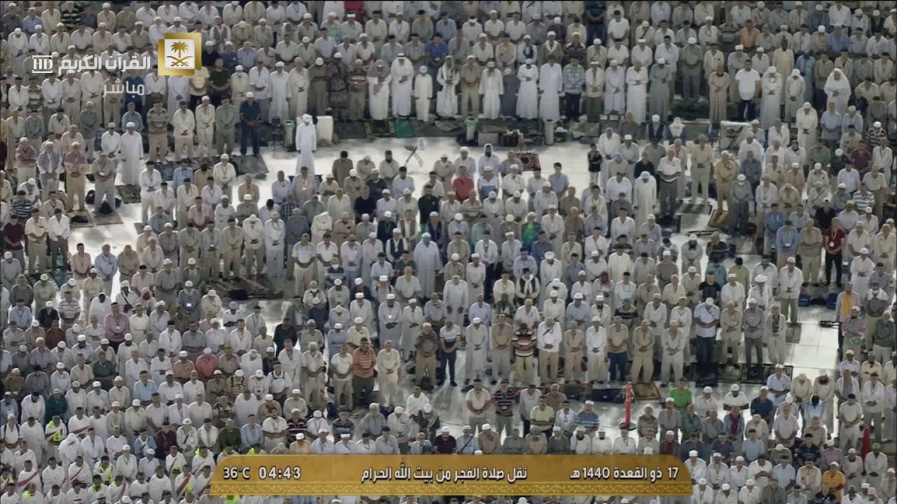 فجرية بياتية جميلة لسورة المزمل للشيخ عبدالله الجهني ١٧-١١-١٤٤٠ هـ