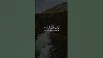 وقالوا لولا أنزل عليه آيات من ربه … عبد الرحمن مسعد