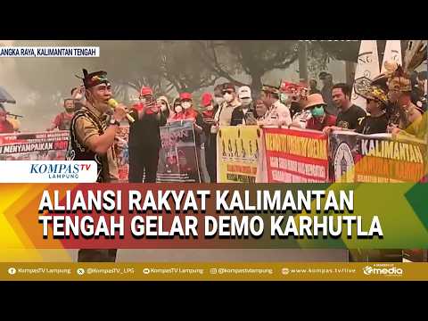 Forest and Land Fire Protest in Central Kalimantan, Government Urged to Take Immediate Action