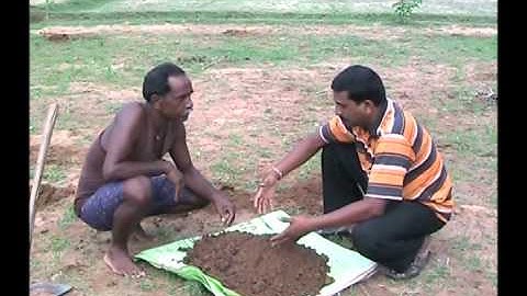 Soil sample collection for testing Oriya Varrat Odisha