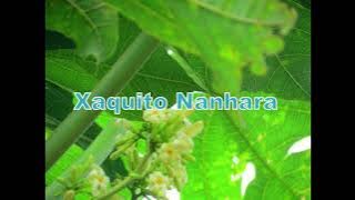 Xaquito Nanhara __ Salanini