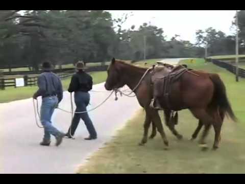 Pat and Linda Parelli in Florida - Safely riding h...