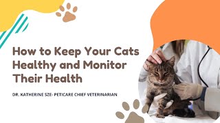 Vet Expert Sharing: How to Keep Your Cats Healthy and Monitor Their Health by MeloCat 124 views 5 months ago 27 minutes