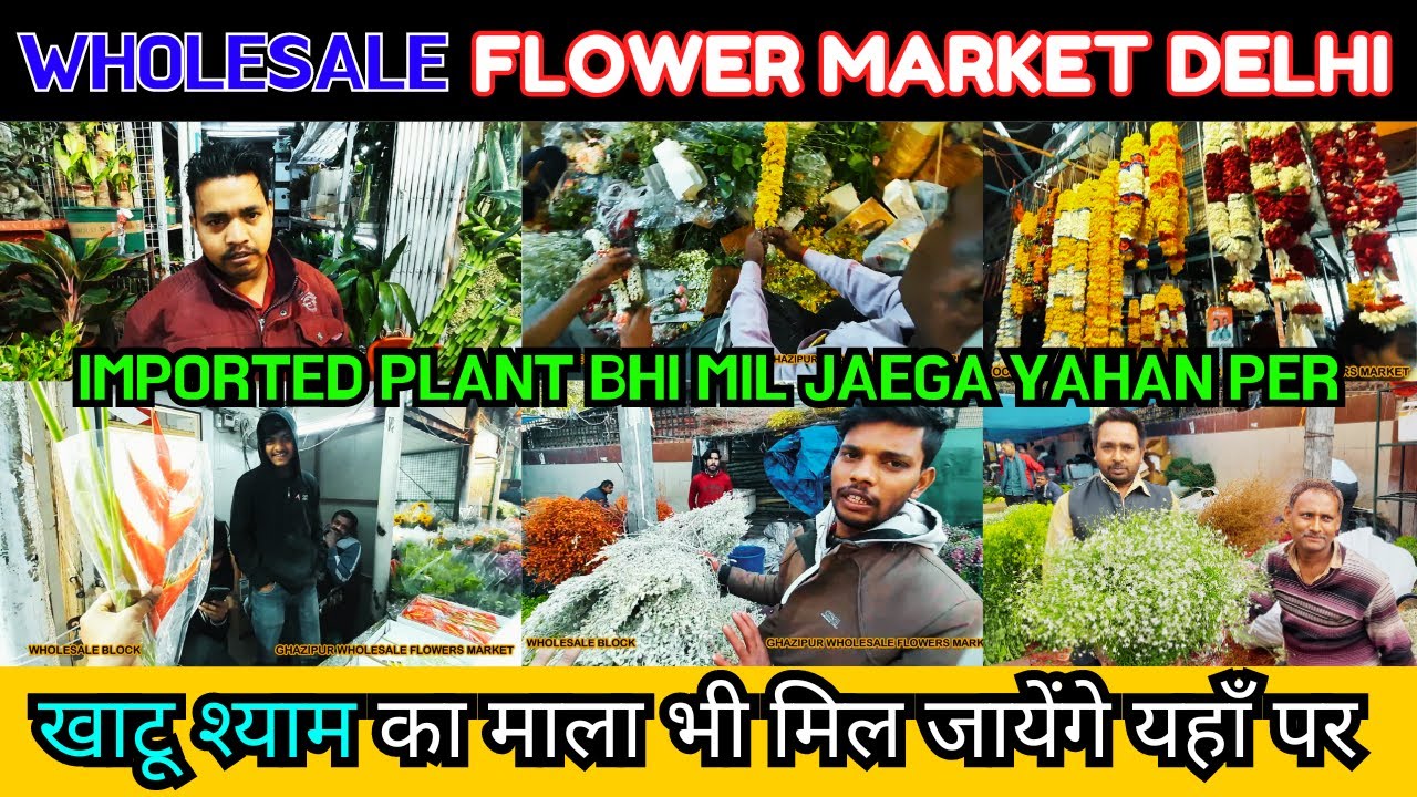 Wholesale Flower Market Delhi 5 Rupay mein le jao GHAZIPUR FLOWER