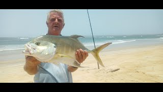 True North Fishing: Bohoi is alive with Fish, #Beach Fishing