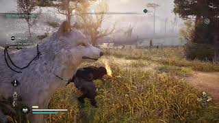 Download Lagu Assassin's Creed Valhalla Search the Swamps for Yellow Longship MP3 Download Lagu Assassin's Creed Valhalla Search the Swamps for Yellow Longship MP3