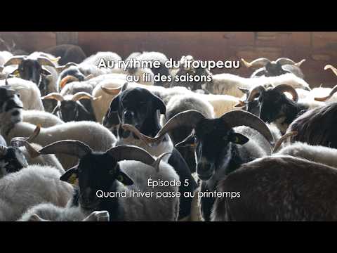 encart vidéo