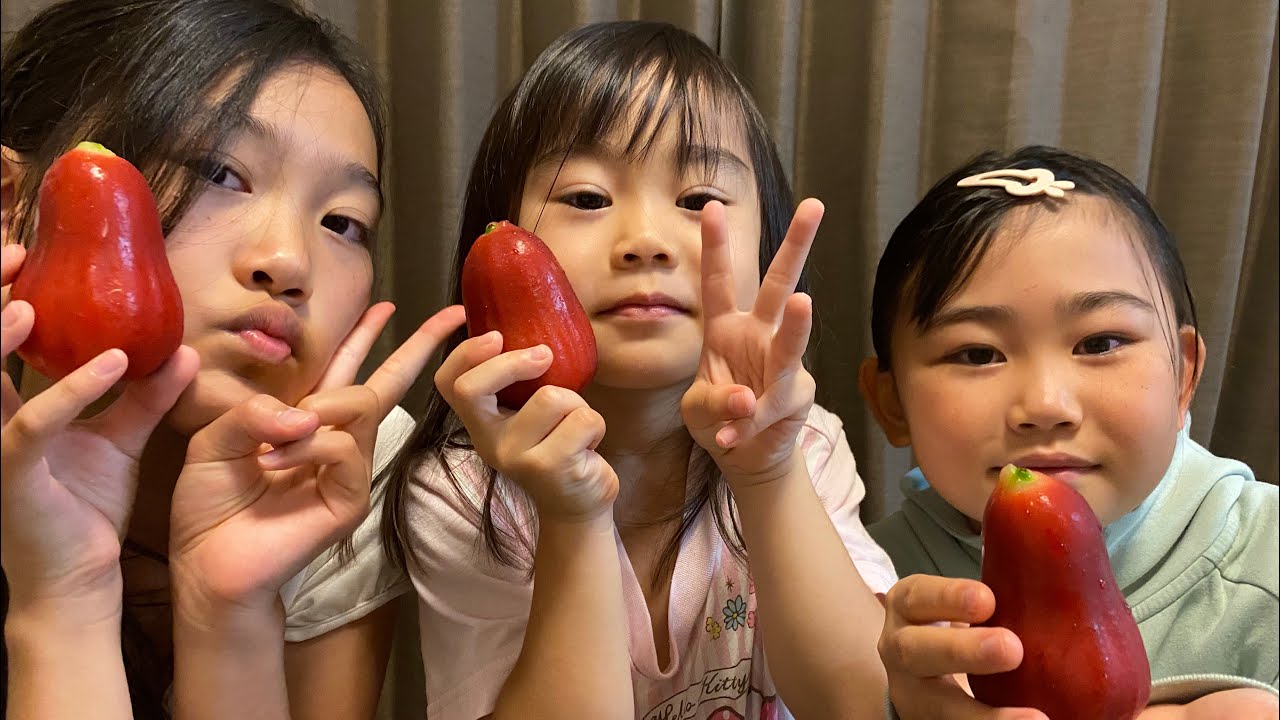 I tried reviewing the rare fruit tree, the rose apple (Rose Apple