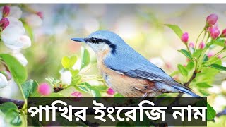 ইংরেজি থেকে বাংলা | English to Bengali | Kazi Junaid