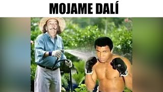 MEMES EPICOS #169