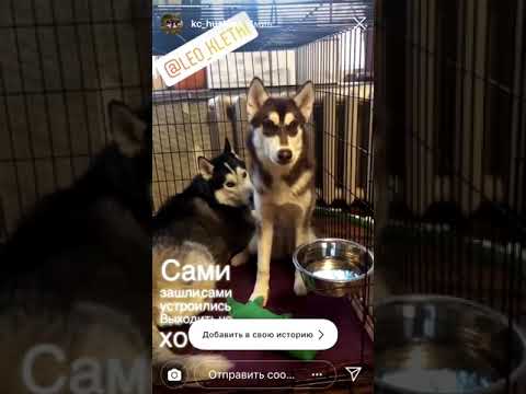 Клетка номер 5