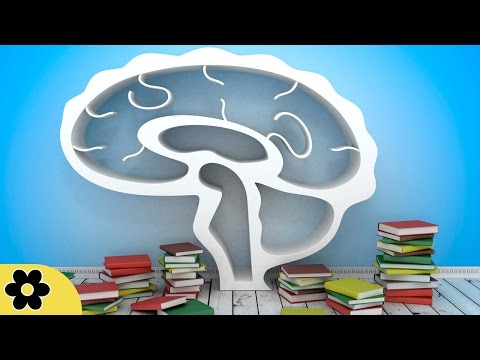 Music For Studying, Relaxing Music, Music For Stress Relief, Focus Music, Background Music, ✿130C