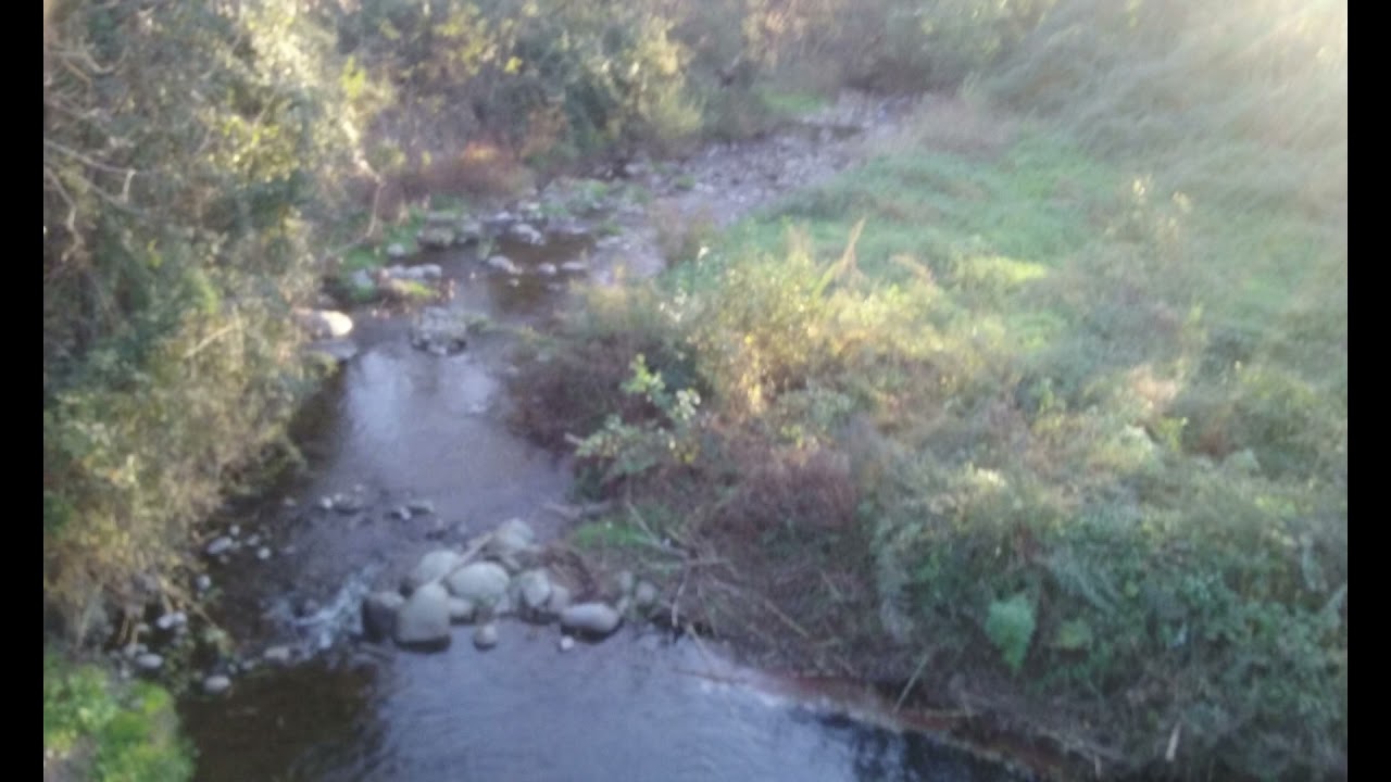 5 - Ha portato il vento