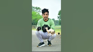 Rc Remote Control Camel Unboxing video🔥#toys#shortsfeed#shorts#unboxing#youtubeshorts