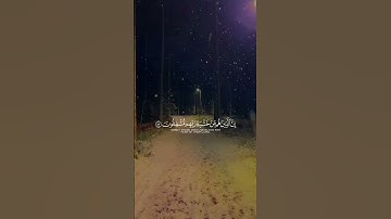 #سورة_المؤمنون #شاشه_سوداء #القارئ هشام إبراهيم#quran