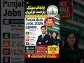 Punjab Bank Jobs 2026|| Latest jobs updates #jobs #allpakjobs #jobsearch #punjabjobs2026 #punjabjobs